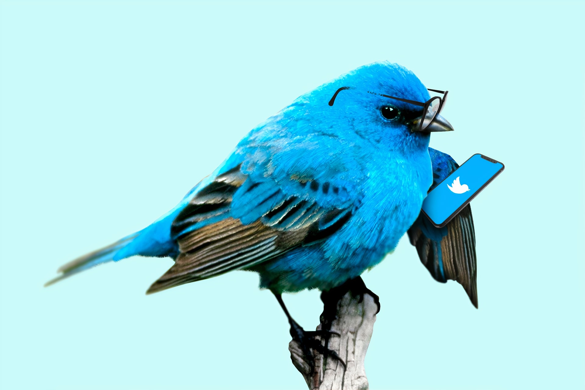 裏技 Twitterの足跡はバレる 閲覧履歴を確認 消すアプリやツールはある Iphone格安sim通信
