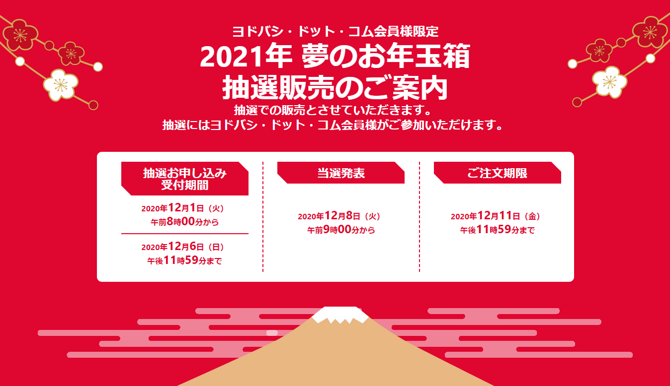 ヨドバシ2021年福袋の中身 ネタバレ大公開 夢のお年玉箱の抽選方法も解説します Iphone格安sim通信