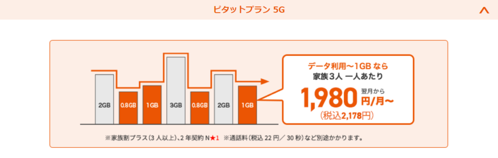 5g ピタット プラン