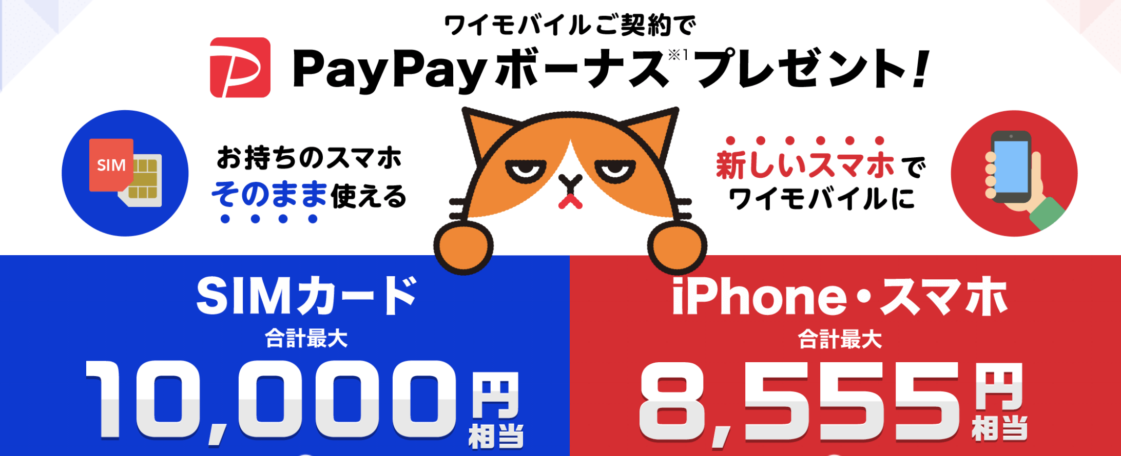 22年 携帯乗り換えがお得なのはここ おすすめの携帯会社 お得になる時期はここ Iphone格安sim通信