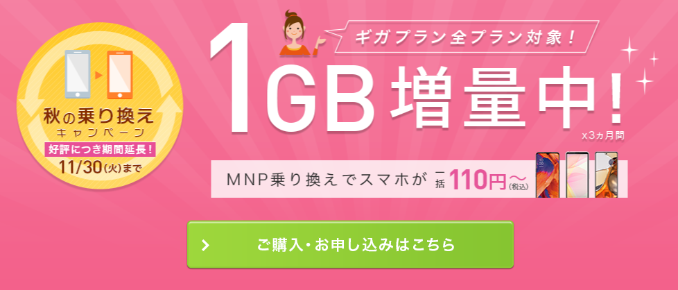 2021年10月 Iijmio Bic Sim ポイント還元情報 ヨドバシカメラ ビックカメラ Simcomoogle