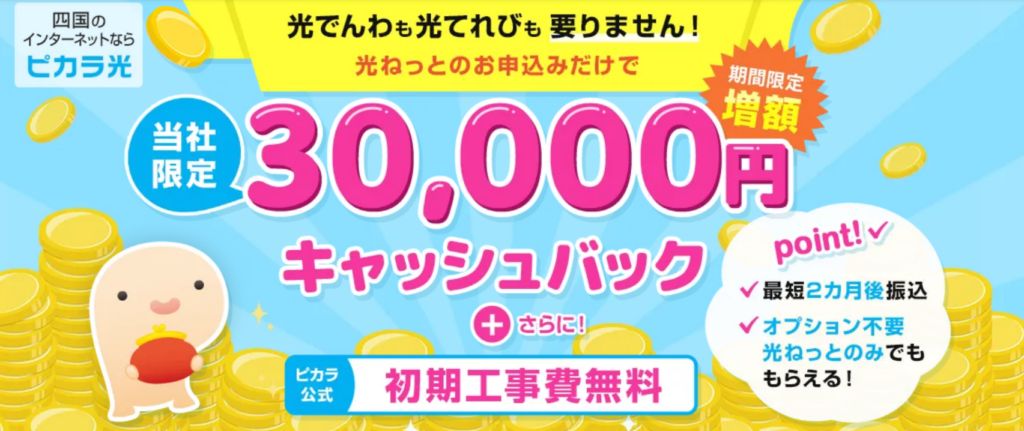 ピカラ光