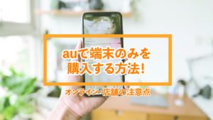 au, 端末のみ