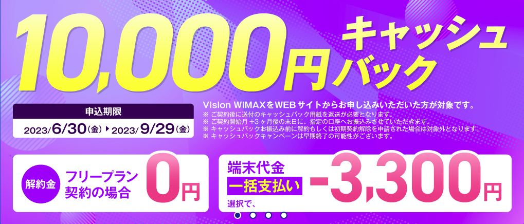 Vision WiMAX