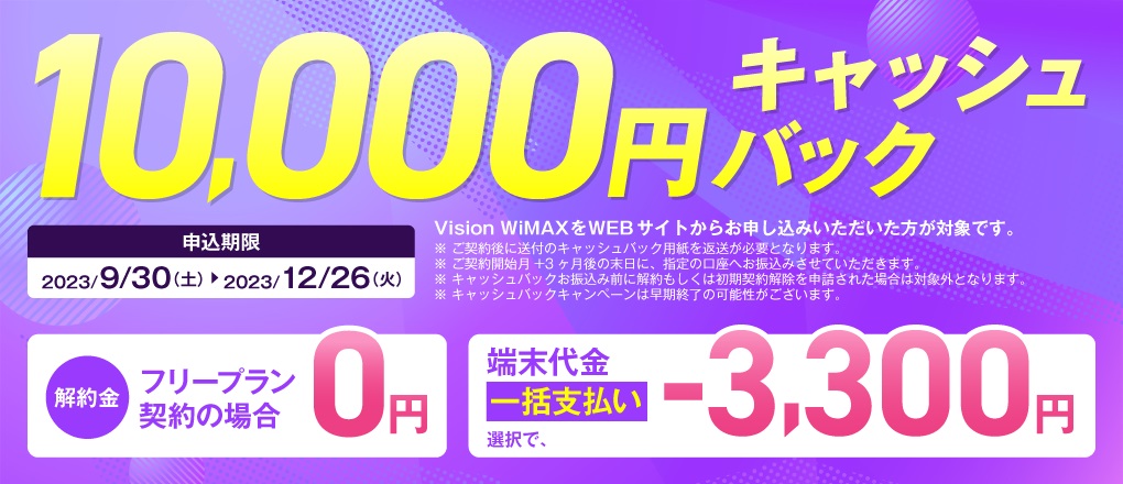 Vision WiMAX
