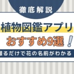 【無料】植物図鑑アプリ人気おすすめ9選！カメラで撮るだけで花の名前がわかる！