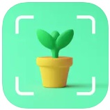 PlantCam：植物、花を識別する