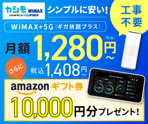 業界最安級カシモWiMAX